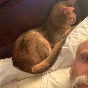 Meet your Posher, Frank